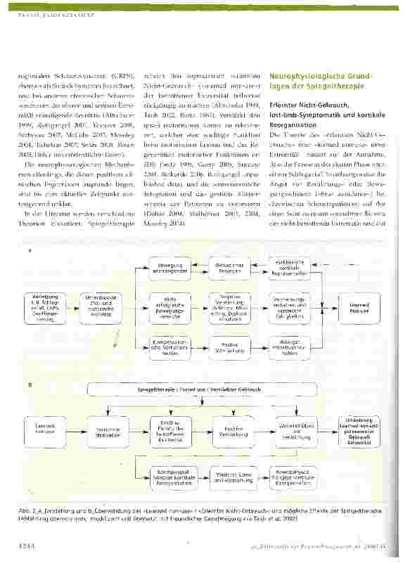 Vorschauseite 2: Spiegeltherapie - mehr als nur eine visuelle Illusion? Aktuelle Übersicht über neurophysiologische Hintergründe und Anwendungsmöglichkeiten