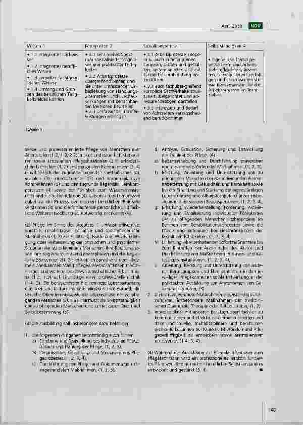 Vorschauseite 3: Empfehlungen des Deutschen Vereins zur angemessenen Einordnung der Pflegeberufe in den Deutschen Qualifikationsrahmen für lebenslanges Lernen (DQR)-Niveau 5
