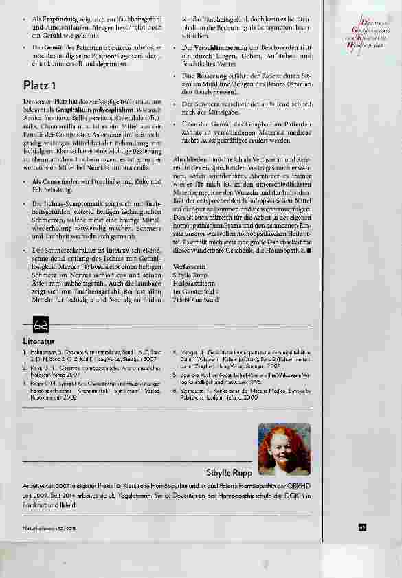 Vorschauseite 4: Die Behandlung der Ischialgie mit ihren verschiedenen Gesichtern Teil 2