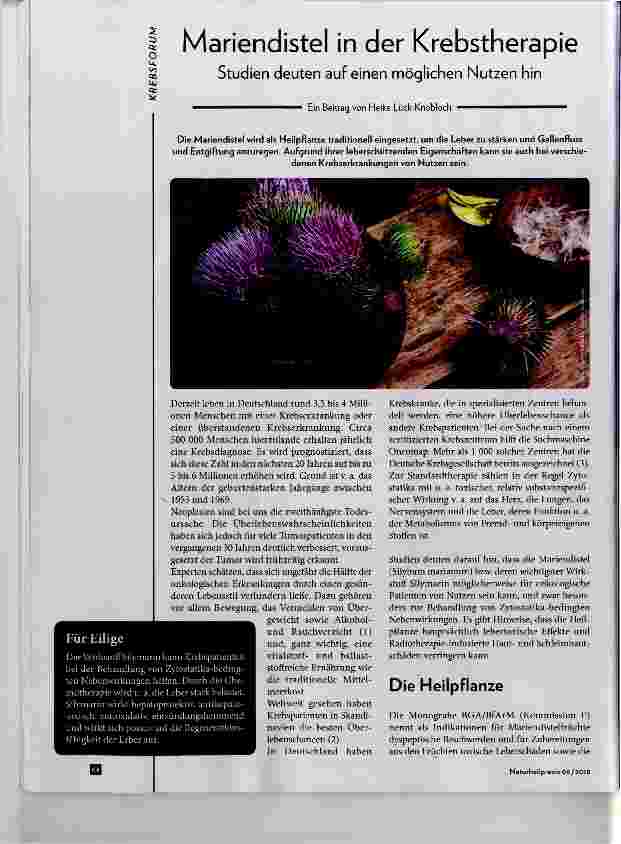 Vorschauseite 1: Mariendistel in der Krebstherapie Studien deuten auf einen möglichen Nutzen hin
