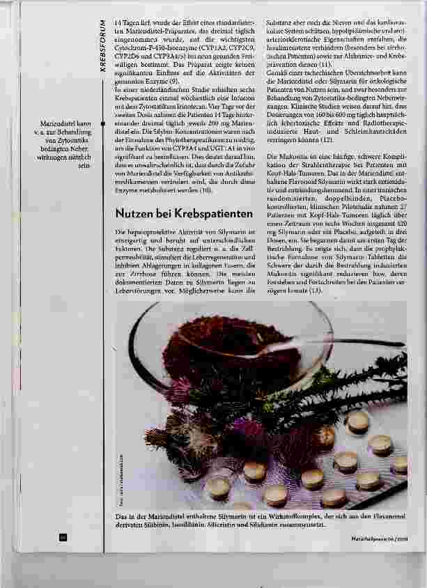 Vorschauseite 3: Mariendistel in der Krebstherapie Studien deuten auf einen möglichen Nutzen hin