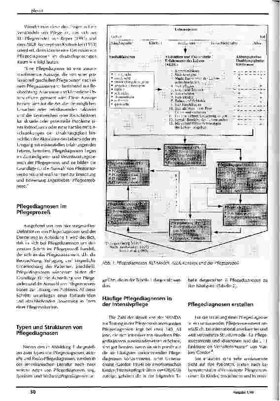 Vorschauseite 2: Pflegediagnosen und -assessment im Intensivbereich