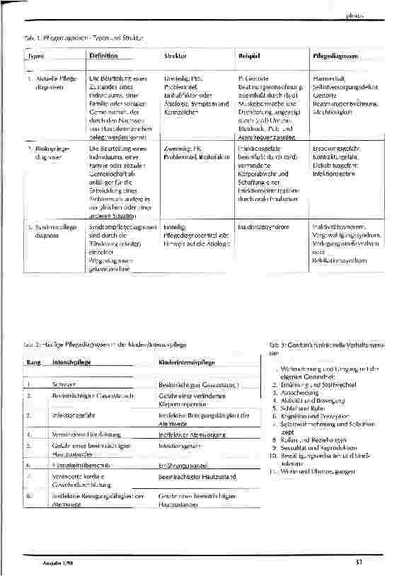 Vorschauseite 3: Pflegediagnosen und -assessment im Intensivbereich