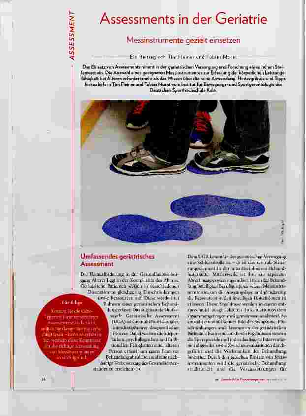 Vorschauseite 1: Assessments in der Geriatrie