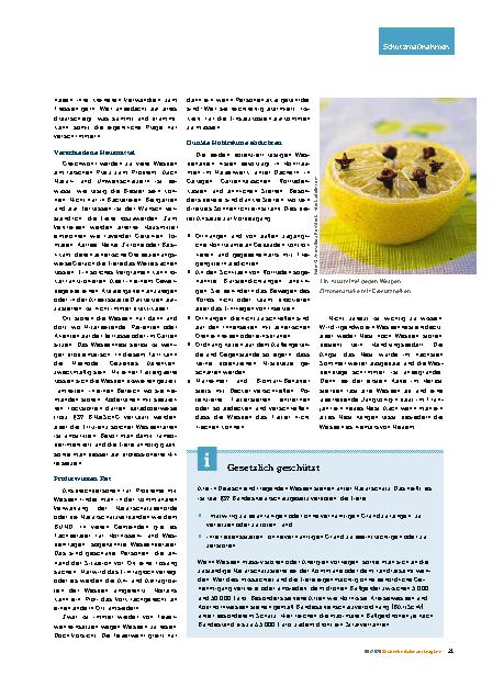 Vorschauseite 3: Maßnahmen zur Insektenabwehr Wespen im Betriebsgelände