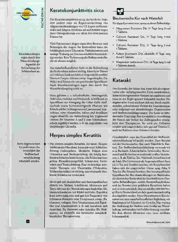 Vorschauseite 2: Naturheilkundliche Therapie bei Augenerkrankungen „Der Weg zunn Durchblick“ Teil 2