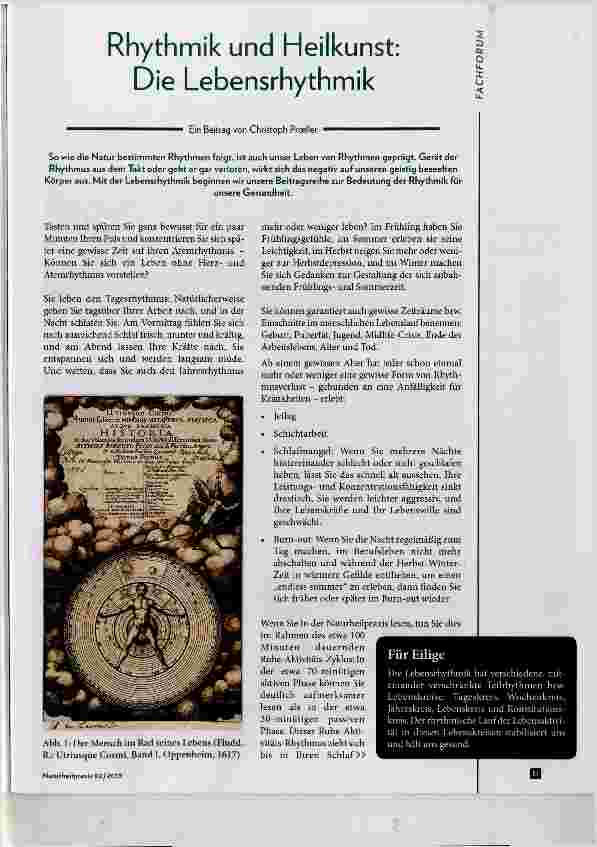 Vorschauseite 1: Rhythmik und Heilkunst: Die Lebensrhythmik