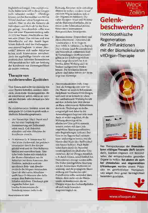 Vorschauseite 3: Die Zystitis und ihre naturheilkundliche Begleitung