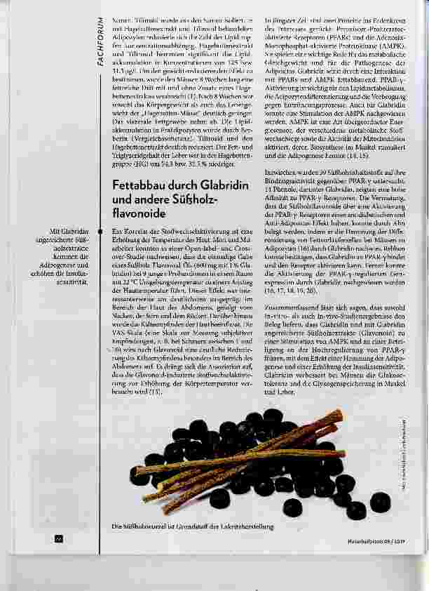 Vorschauseite 2: Natürliche Strategien gegen Adipositas