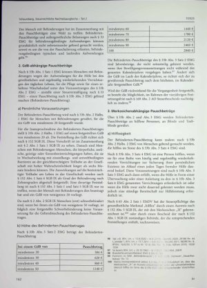 Vorschauseite 2: Steuerrechtliche Nachteilsausgleiche - Teil 2