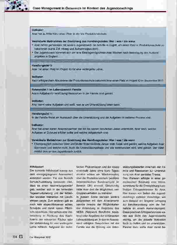 Vorschauseite 5: Case Management in Österreich im Kontext des Jugendcoachings: ein Fallbeispiel