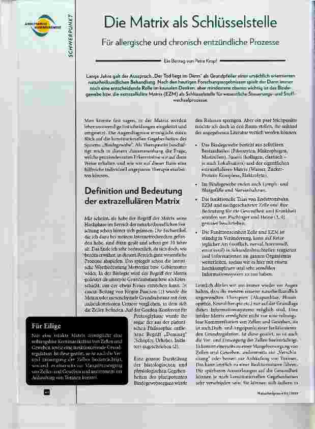 Vorschauseite 1: Die Matrix als Schlüsselstelle