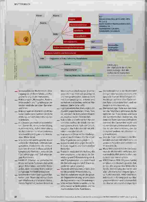 Vorschauseite 3: »Lehrplan« für das Immunsystem