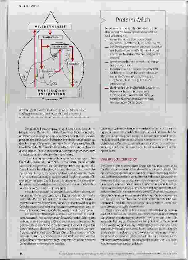 Vorschauseite 5: »Lehrplan« für das Immunsystem