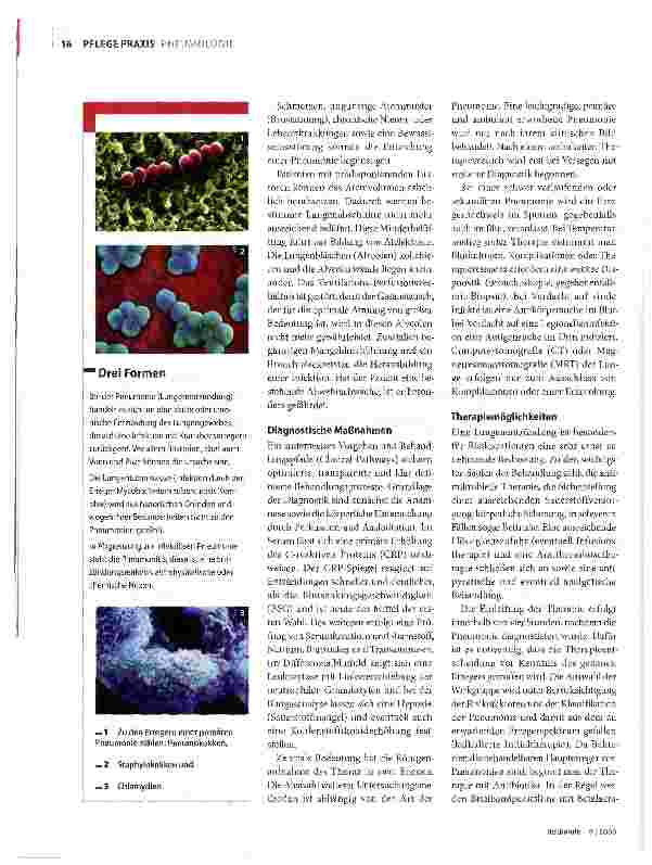 Vorschauseite 2: Hohe Sterblichkeit