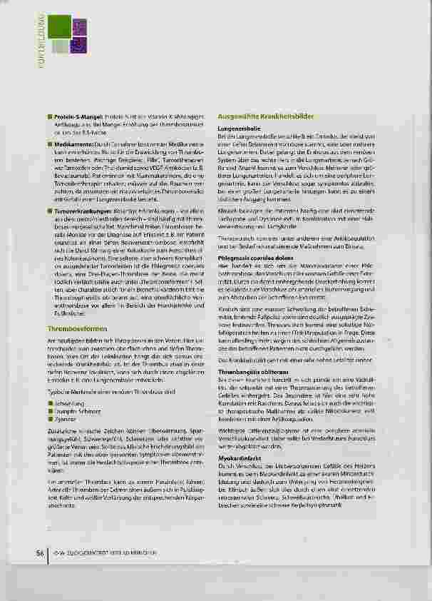 Vorschauseite 3: Thrombose: Was sie ist und was sie bewirken kann