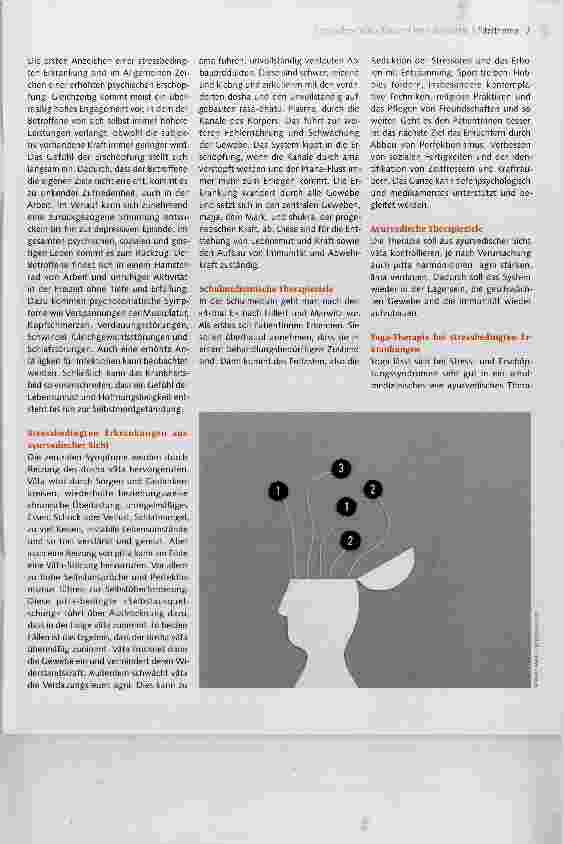Vorschauseite 2: Stressbedingte Erkrankungen
