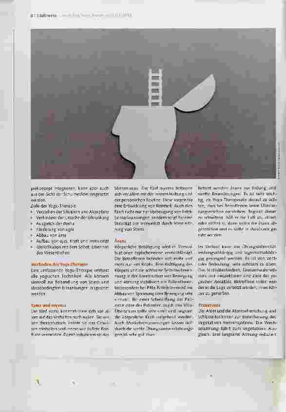 Vorschauseite 3: Stressbedingte Erkrankungen
