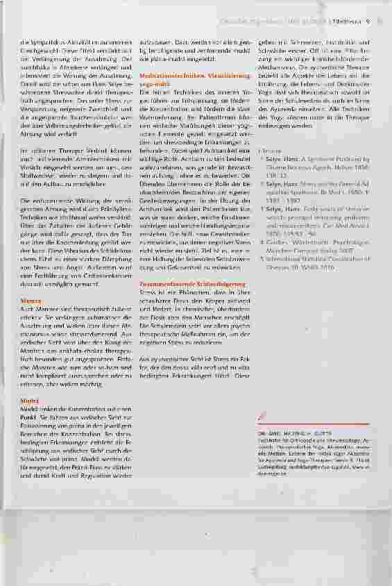Vorschauseite 4: Stressbedingte Erkrankungen