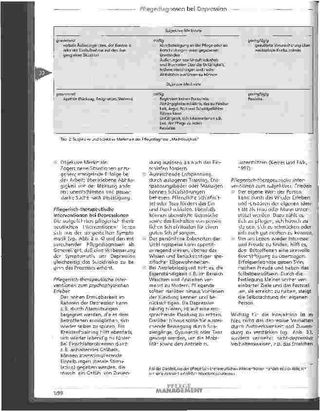 Vorschauseite 5: Pflegediagnosen in Anlehnung an den ICD-10 bei Depressionen