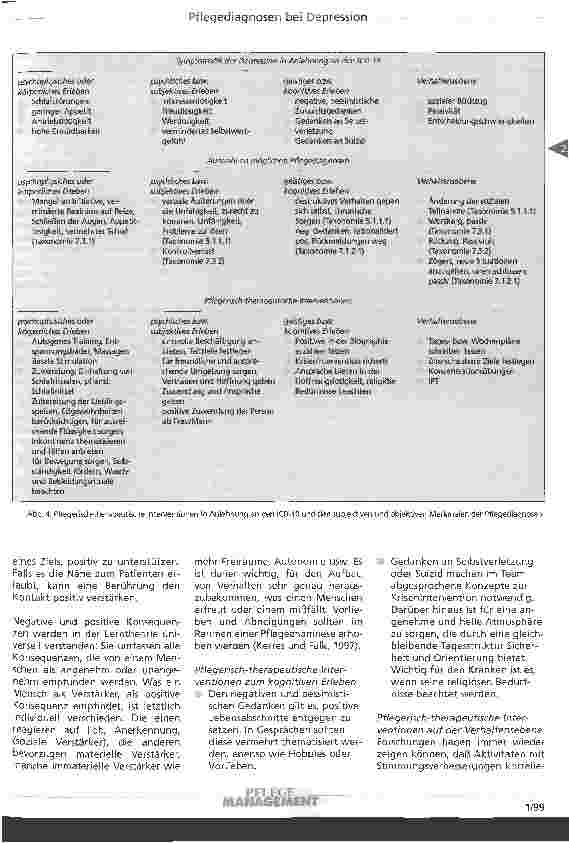 Vorschauseite 6: Pflegediagnosen in Anlehnung an den ICD-10 bei Depressionen