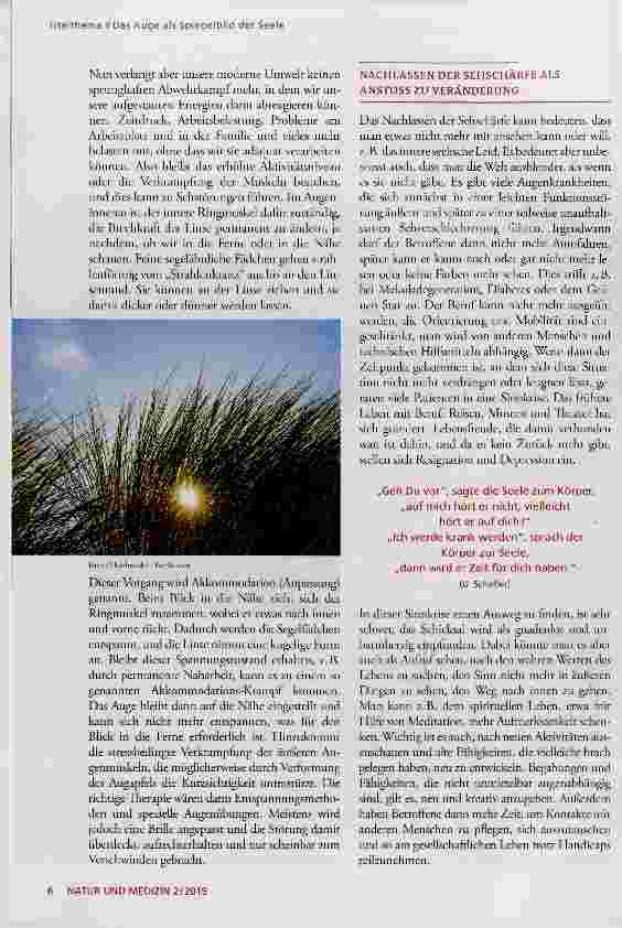 Vorschauseite 3: Seele und Sehen: Das Auge als Spiegelbild der Seele