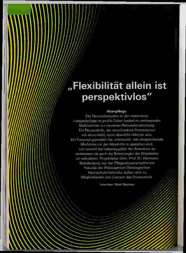 Vorschauseite 1: Flexibilität allein ist perspektivlos