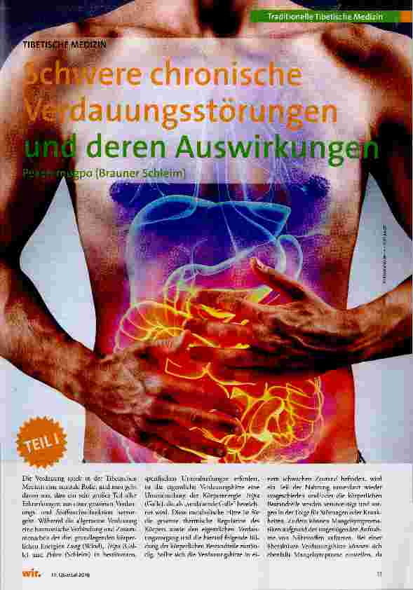 Vorschauseite 1: Schwere chronische Verdauungsstörungen und deren Auswirkungen