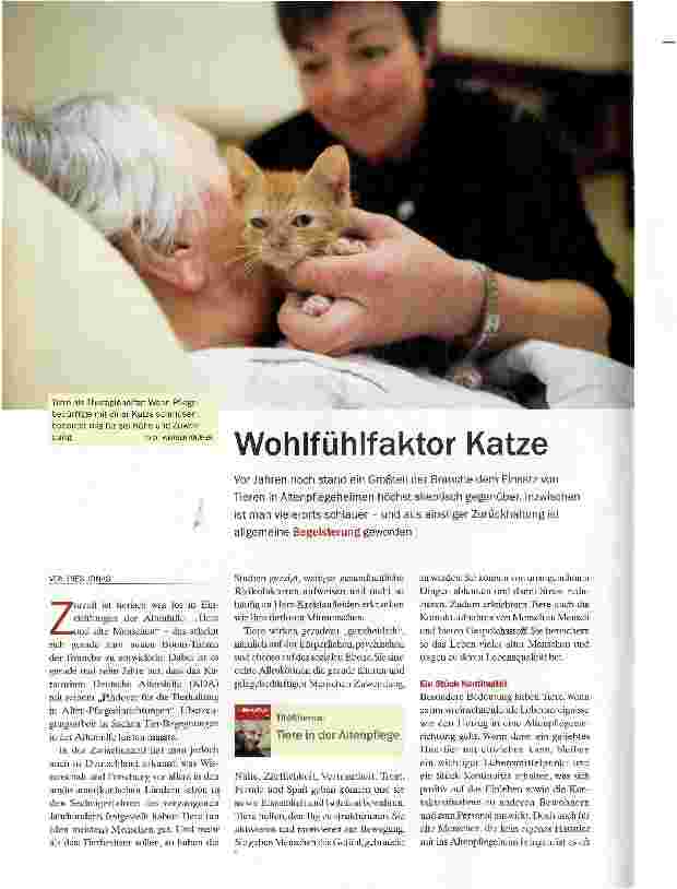 Vorschauseite 1: Wohlfühlfaktor Katze