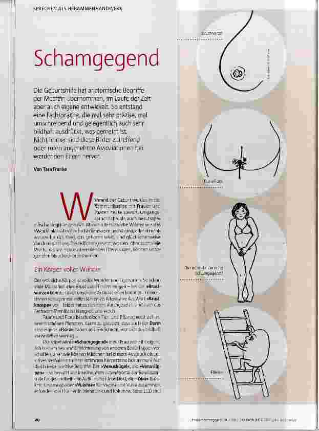 Vorschauseite 1: Schamgegend