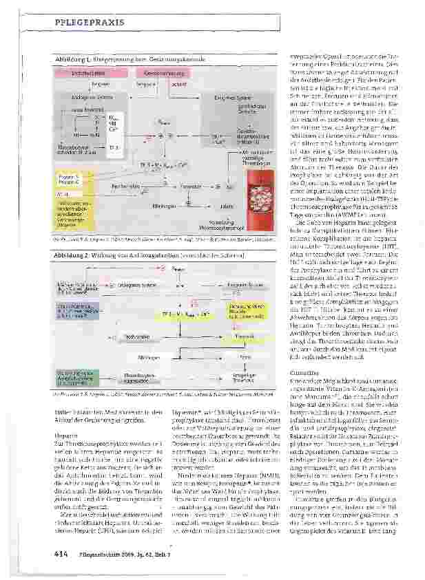 Vorschauseite 3: Neues zur Thromboseprophylaxe