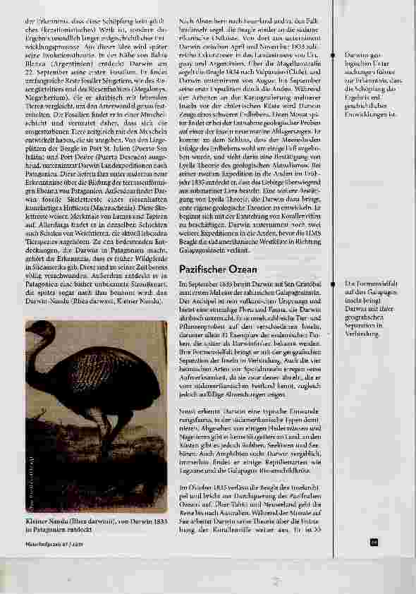 Vorschauseite 2: Charles Robert Darwin Teil 2