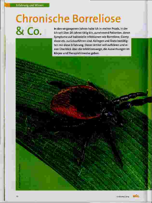Vorschauseite 1: Chronische Borreliose & Co.