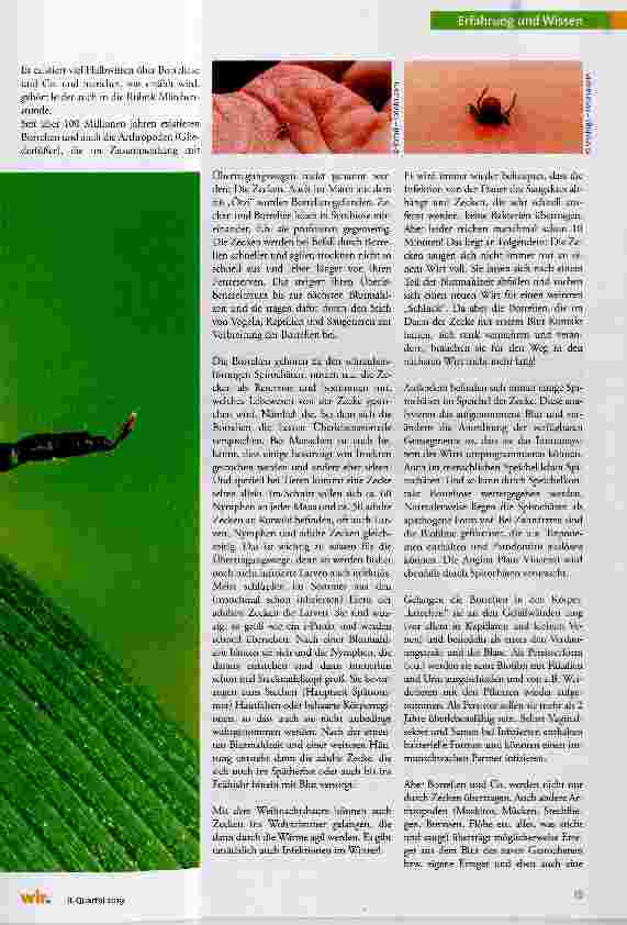 Vorschauseite 2: Chronische Borreliose & Co.