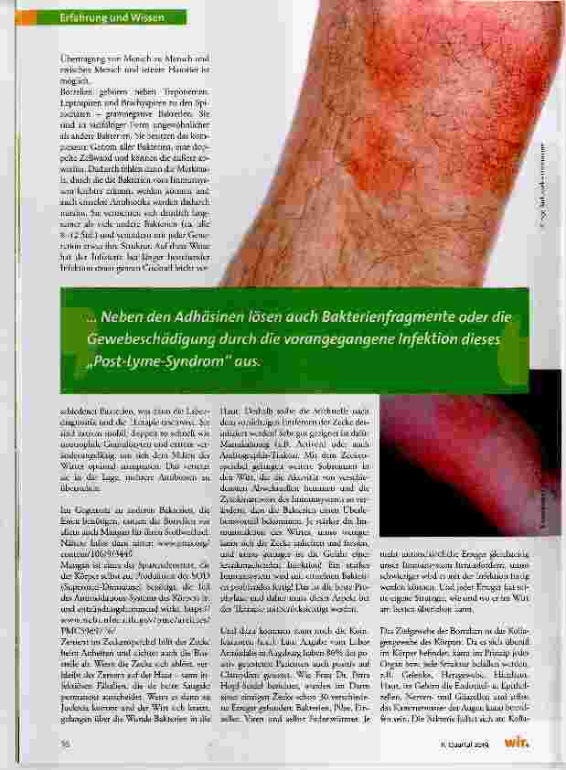 Vorschauseite 3: Chronische Borreliose & Co.