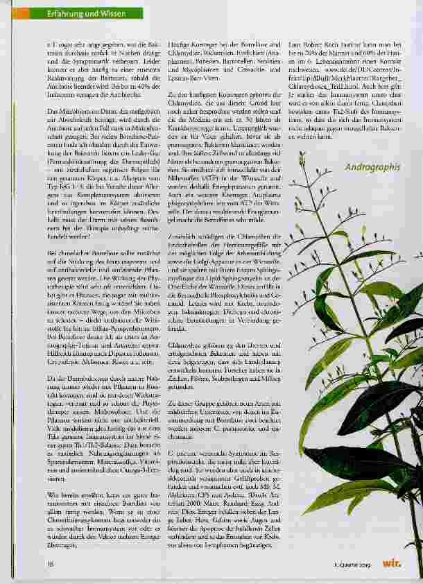 Vorschauseite 5: Chronische Borreliose & Co.