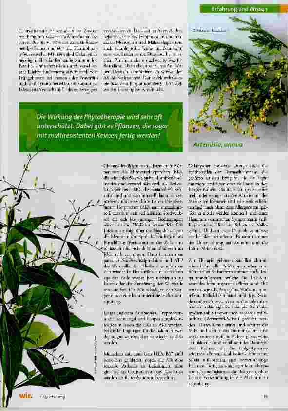 Vorschauseite 6: Chronische Borreliose & Co.