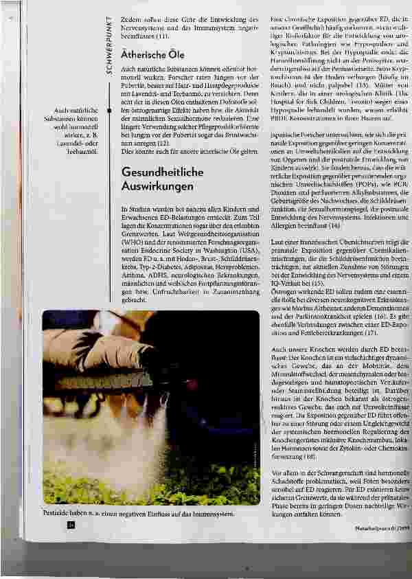 Vorschauseite 3: Endokrine Disruptoren