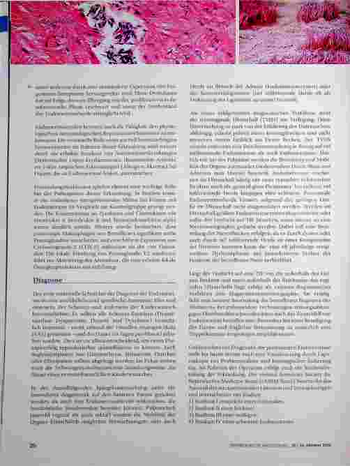 Vorschauseite 3: Endometriose