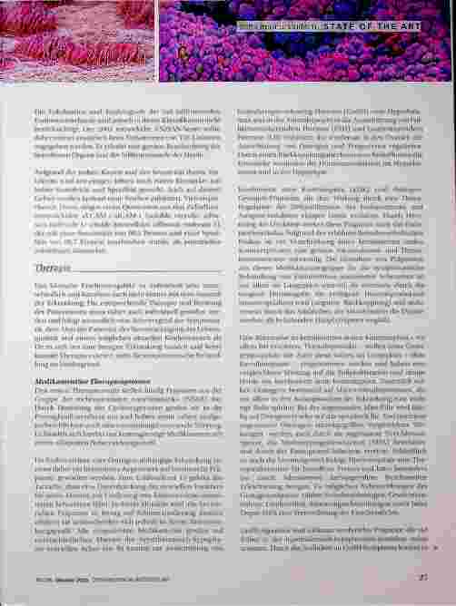 Vorschauseite 4: Endometriose