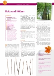 Vorschauseite 3: Bunt sind schon die Wälder