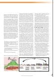 Vorschauseite 1: PFLEGELEXIKON – die Serie zum Sammeln Biofilm – eine Lebensgemeinschaft im Schleim