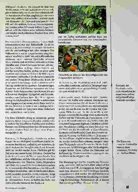 Vorschauseite 2: Ernährung und Medikamente - (k)ein Problem?