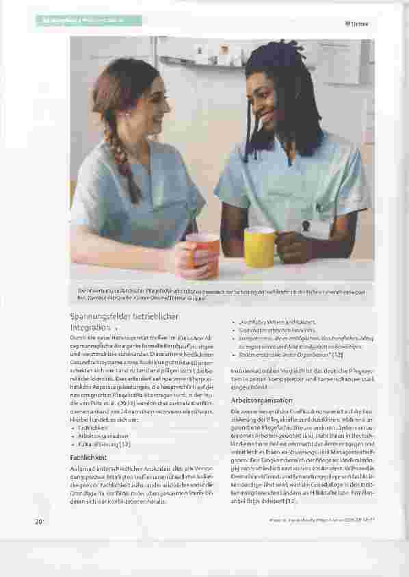 Vorschauseite 3: Transkulturelle Pflege und deren Auswirkungen auf das Pflegeteam und Patienten
