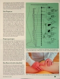 Vorschauseite 3: Vom Kinderwunsch zum Wunschkind mit der Seiner-Therapie