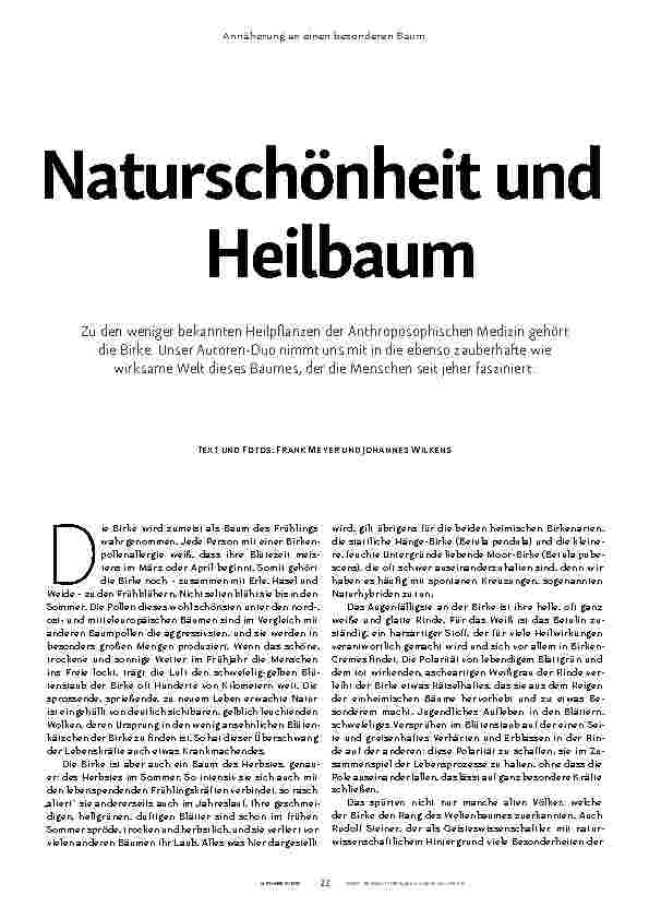 Vorschauseite 2: Die Birke: Naturschönheit und Heilbaum