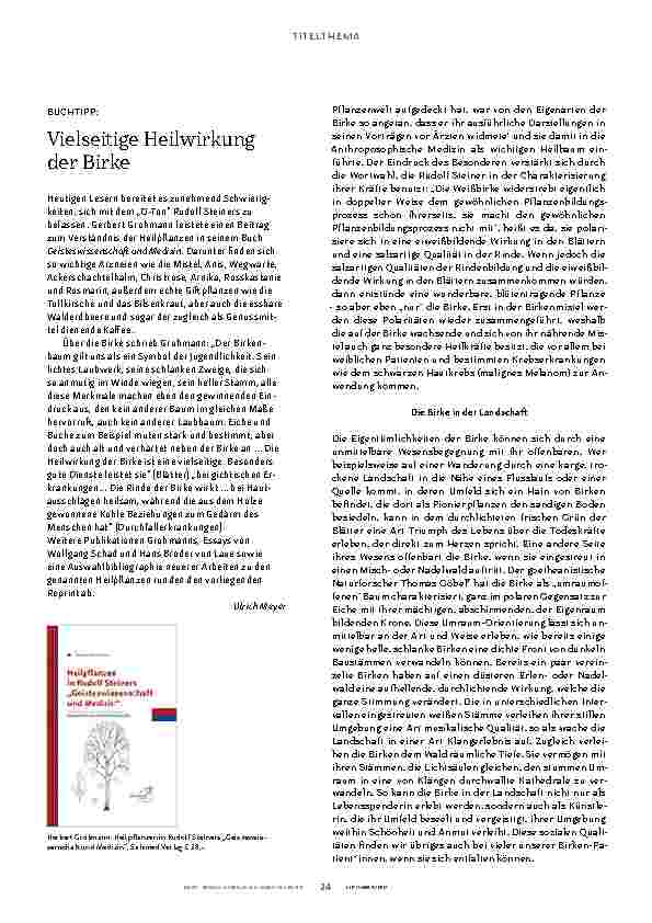 Vorschauseite 3: Die Birke: Naturschönheit und Heilbaum