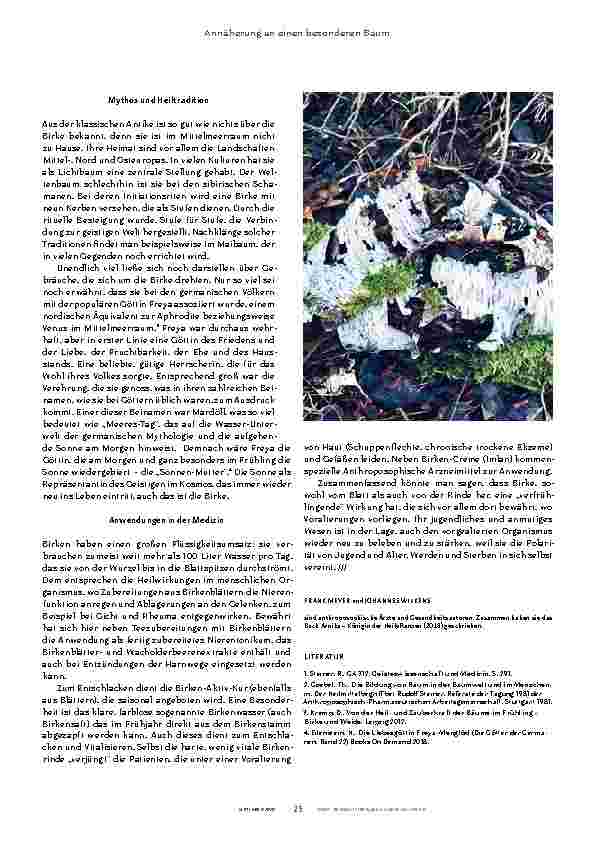 Vorschauseite 4: Die Birke: Naturschönheit und Heilbaum