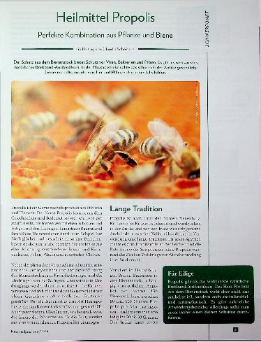 Vorschauseite 1: Heilmittel Propolis: Perfekte Kombination aus Pflanze und Biene