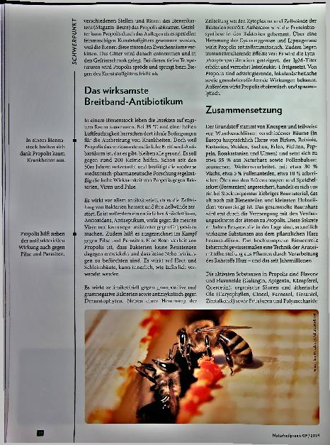 Vorschauseite 2: Heilmittel Propolis: Perfekte Kombination aus Pflanze und Biene